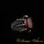 Claw Of Falcon Red Agate Silver Ring