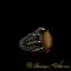 Claw Of Falcon Tiger’s Eye Silver Ring