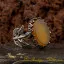 Yellow Aqeeq Hand Made Women Flower Ring